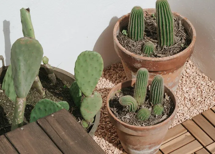 Apartment Maja Centro - Luxury