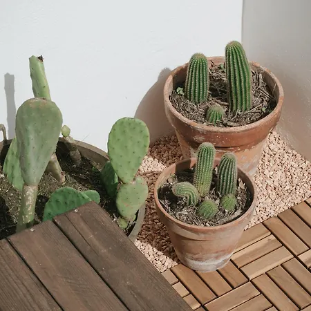 דירה Maja Centro - Luxury